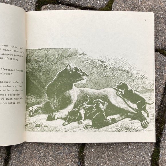 1971 Male Female Diffences in Animals Nature Education Development Center Book - Picture 10 of 14